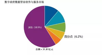 百分點躋身IDC數(shù)字政府數(shù)據(jù)管理與治理軟件和服務(wù)市場第四名，數(shù)據(jù)處理服務(wù)獲認可